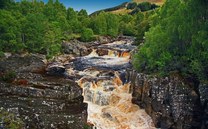 River flowing through a rocky gorge with trees