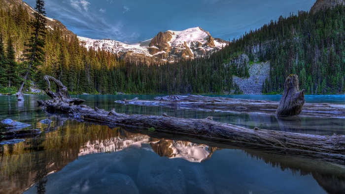 Lake with fallen logs and snow-capped mountains