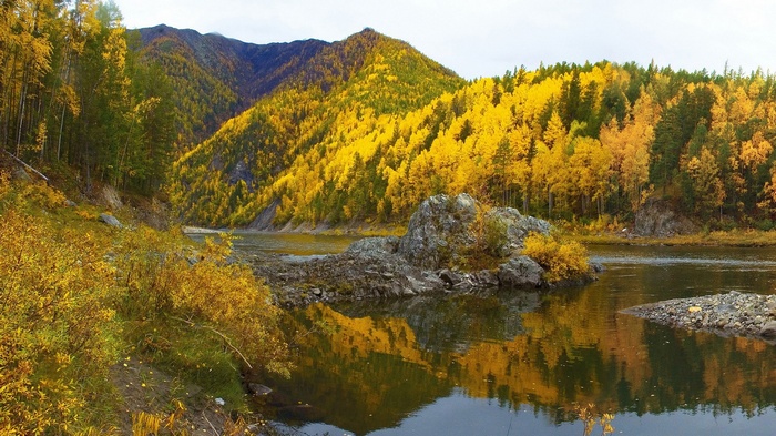 Autumn forest and river with rocky island