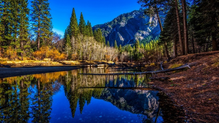 Forest reflection in a calm lake with mountains