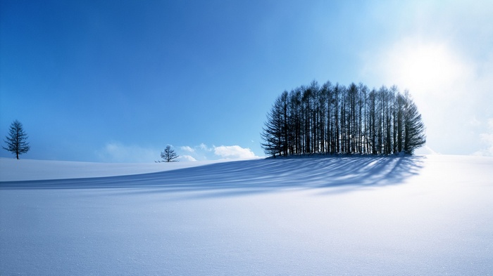 Snowy landscape with trees and shadows