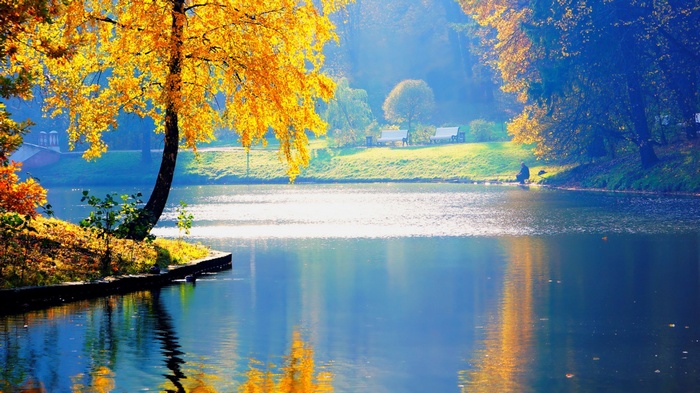 Autumn tree by a lake with reflections