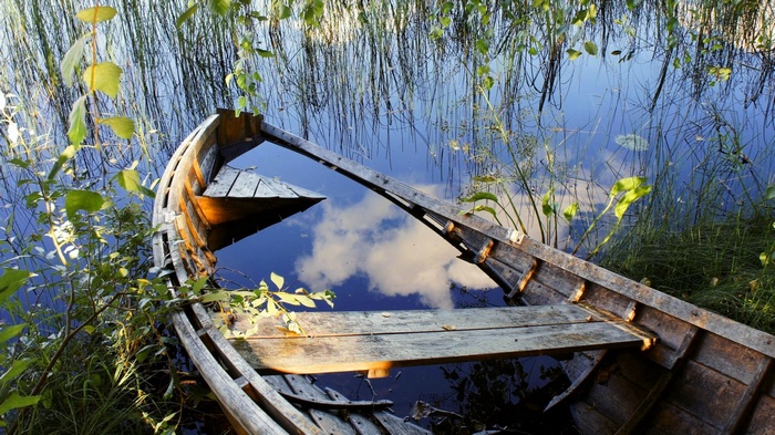 Sunken wooden boat in reeds reflecting sky