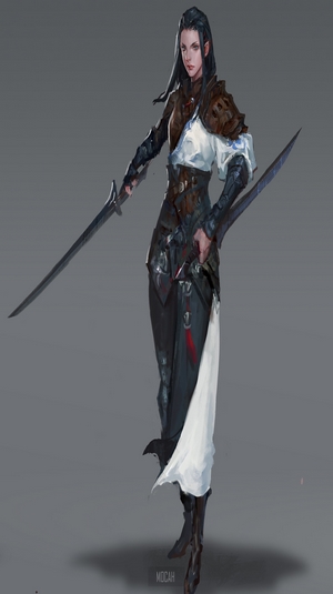 Fantasy warrior woman with swords