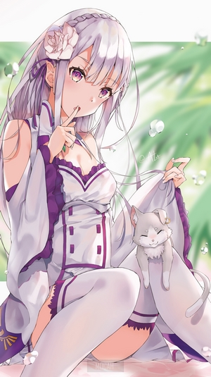 Emilia and Puck from Re:Zero