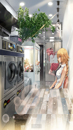 Jeanne d'Arc and Astolfo from Fate/Apocrypha in a laundry room