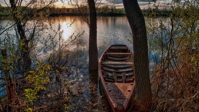 Boat moored by trees on a lake at sunset