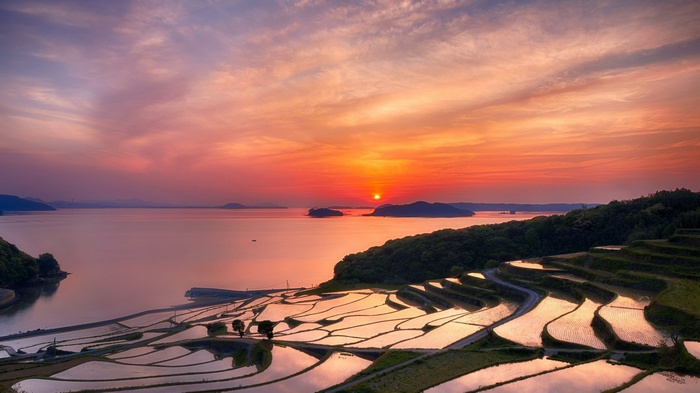 Terraced rice fields at sunset by the sea