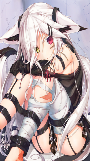 Anime Girl with Heterochromia and Animal Ears
