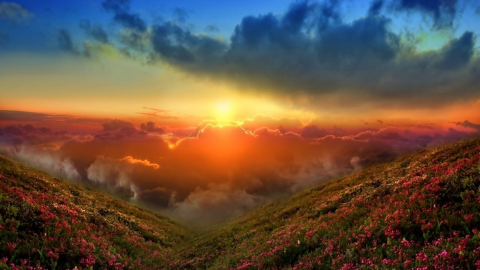 Sunset over a mountain valley with flowers