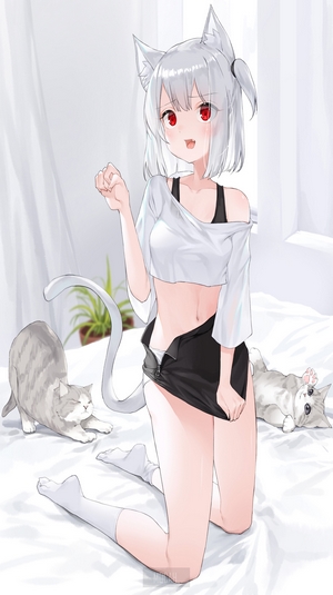 Anime girl with cat ears and cats