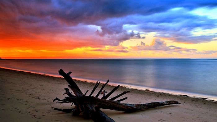 Driftwood on a beach at sunset