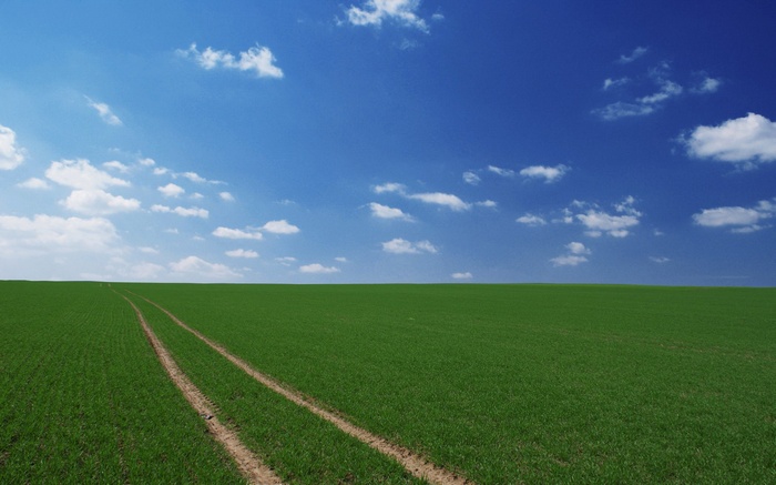 Vast green field with tire tracks under a blue sky