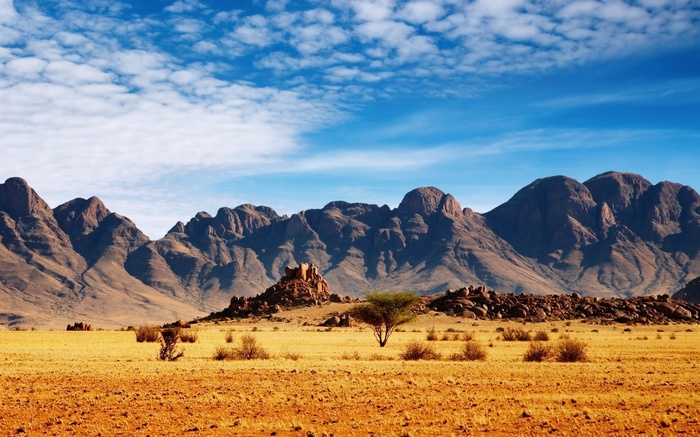 Desert landscape with mountains and acacia tree