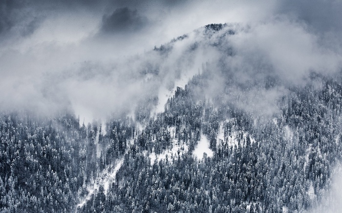 Snowy mountain forest shrouded in clouds