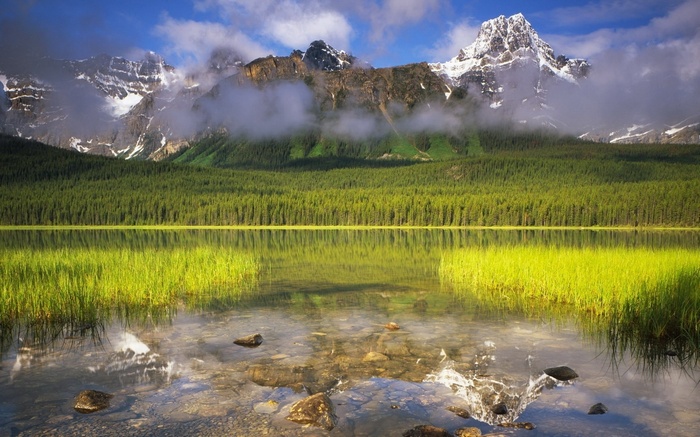 Mountain lake with pine forest and snow-capped peaks