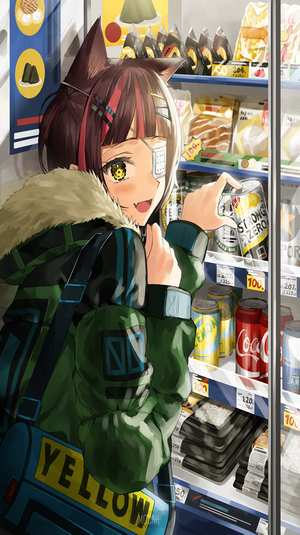Anime girl with cat ears at a convenience store