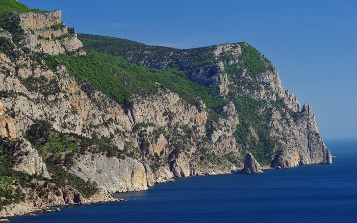 Rocky cliffs covered in green vegetation meet the blue sea