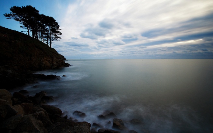 Trees on a cliff overlooking the ocean at dusk