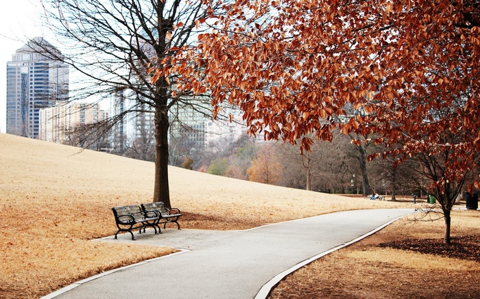 Autumn park with city buildings and benches