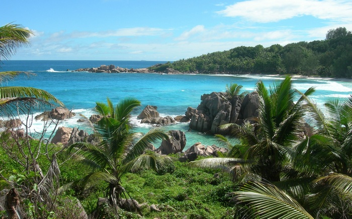 Tropical beach with palm trees and turquoise water