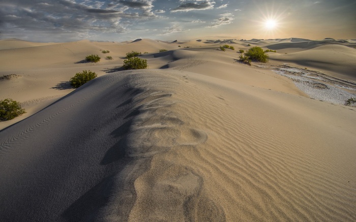 Desert sand dunes with sparse vegetation under a bright sun