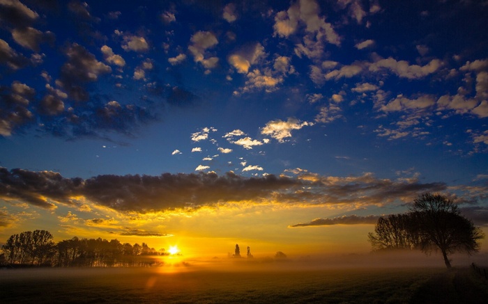 Sunrise over a misty field with trees and clouds