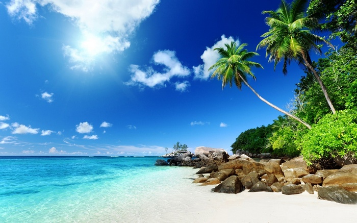 Tropical beach with palm trees and turquoise water