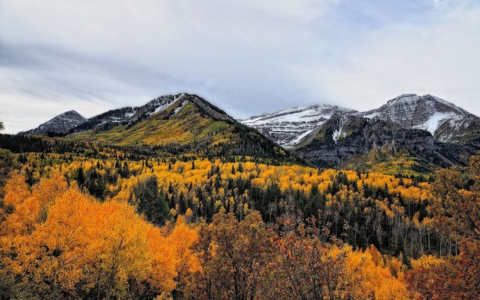 Autumn mountain landscape with snow-capped peaks