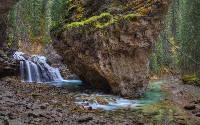 Waterfall flowing through a rocky canyon with pine trees