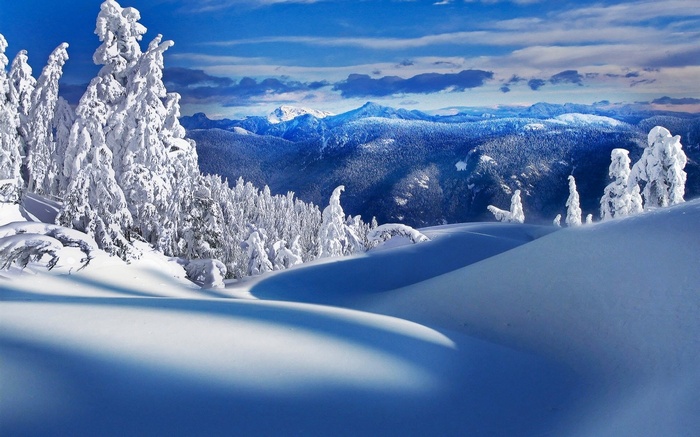 Snow-covered trees and mountains under a blue sky