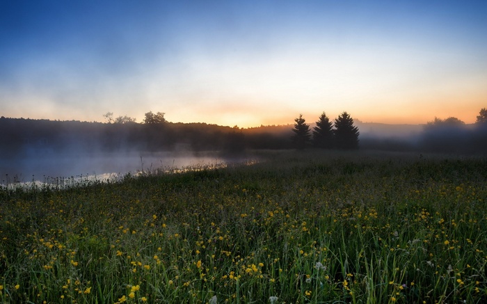 Misty lake at sunrise with wildflowers