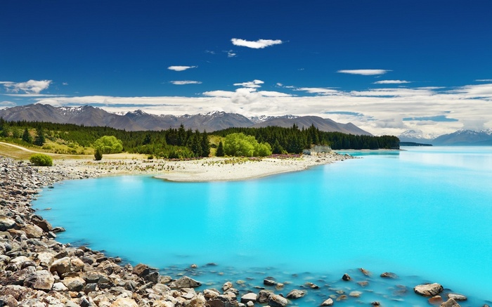 Turquoise lake with mountains and trees