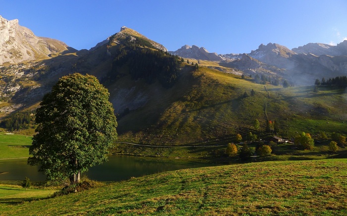 Mountain landscape with lake and tree
