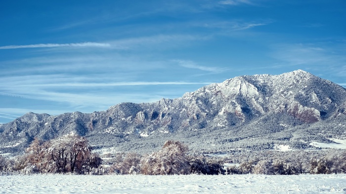 Snow-covered mountains and trees under a blue sky