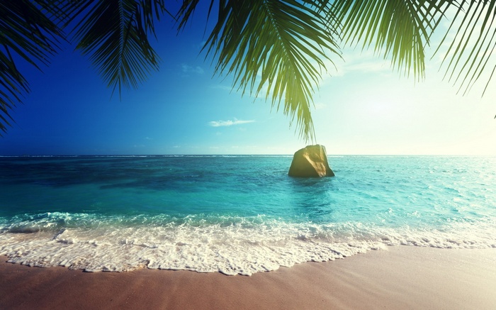Tropical beach with palm trees and ocean waves