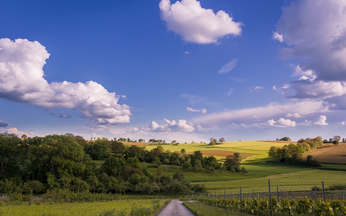 Rolling hills with vineyards under a cloudy blue sky