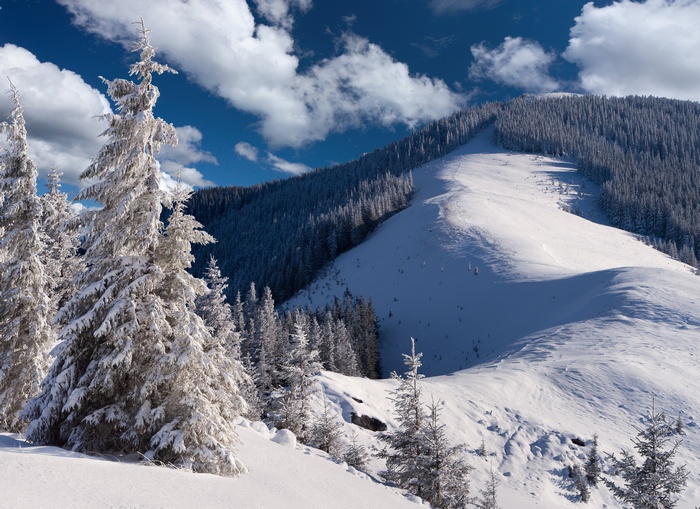 Snow-covered mountain landscape with pine trees