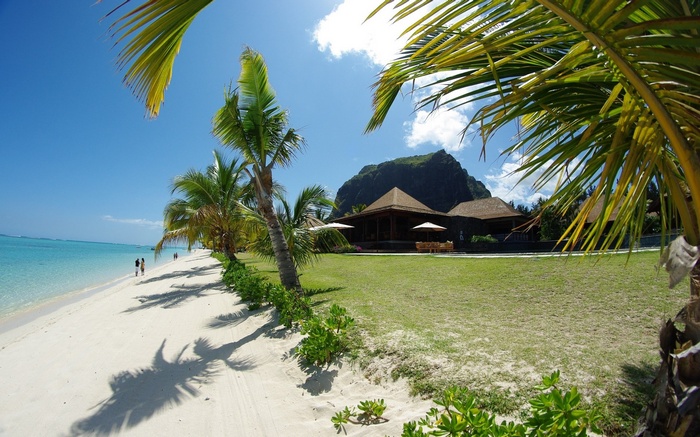 Tropical beach with palm trees and mountain in background