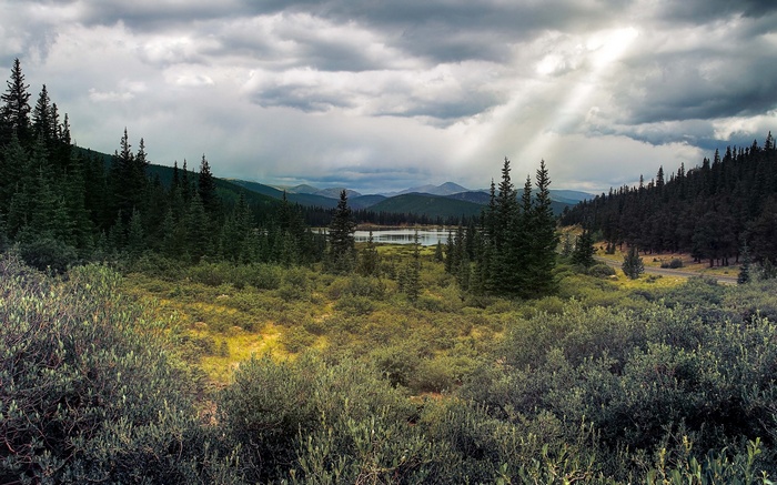 Mountain lake surrounded by pine trees under cloudy sky