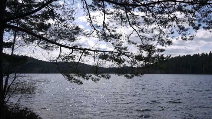 Lake surrounded by trees under a cloudy sky