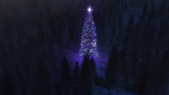 Illuminated Christmas Tree in a Dark Forest