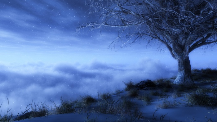 Bare tree on a hill above clouds at night
