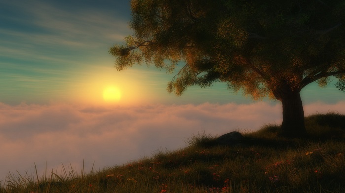 Tree on a grassy hill above clouds at sunset