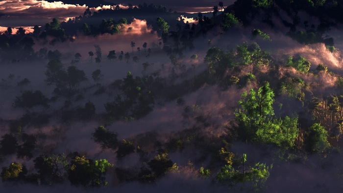 Misty forest landscape at sunrise