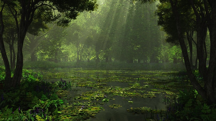 Sunlight beams through a misty forest onto a pond