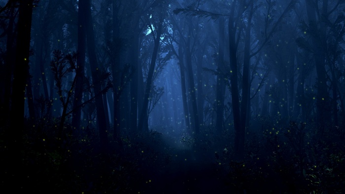 Dark forest with glowing fireflies at night