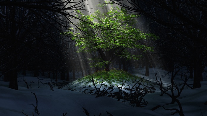 Tree in a dark, snowy forest with sunbeams