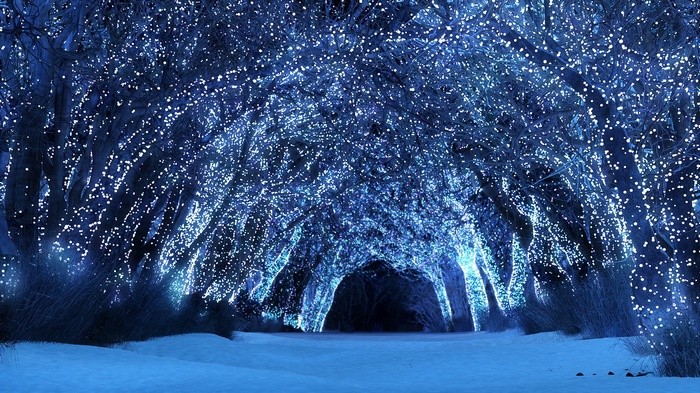 Enchanted forest tunnel with blue lights and snow
