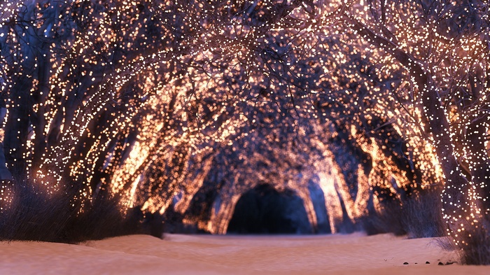 Tunnel of trees covered in fairy lights in snow